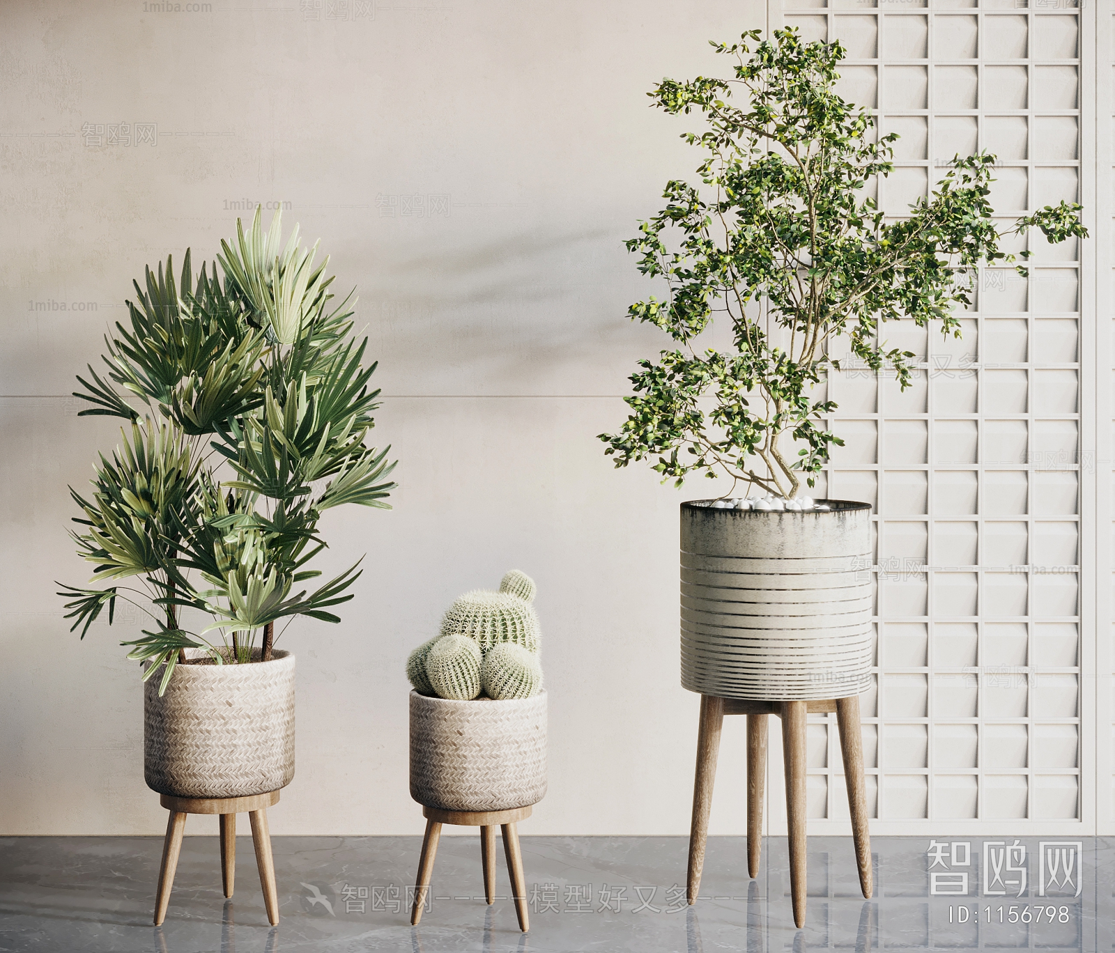 Wabi-sabi Style Potted Green Plant