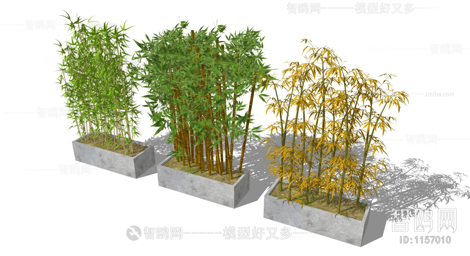 现代竹子盆栽组合