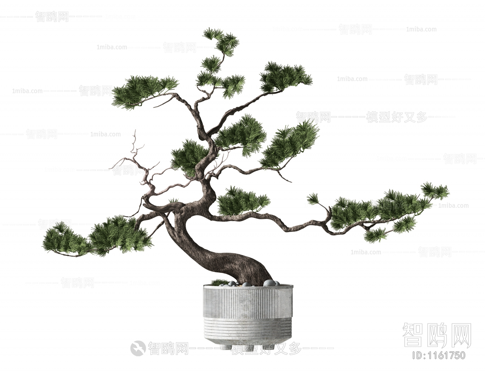New Chinese Style Plant