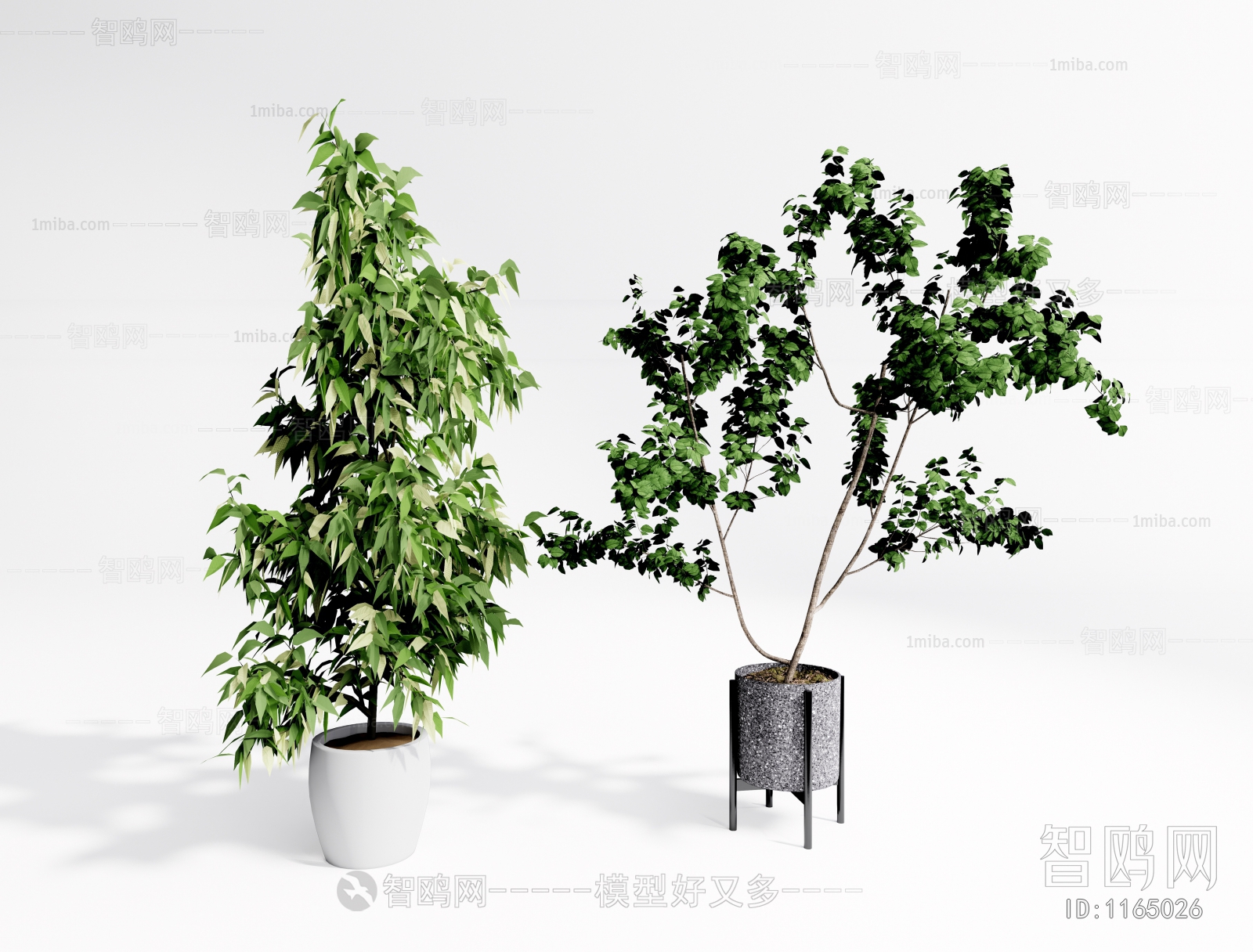 现代落地绿植盆栽