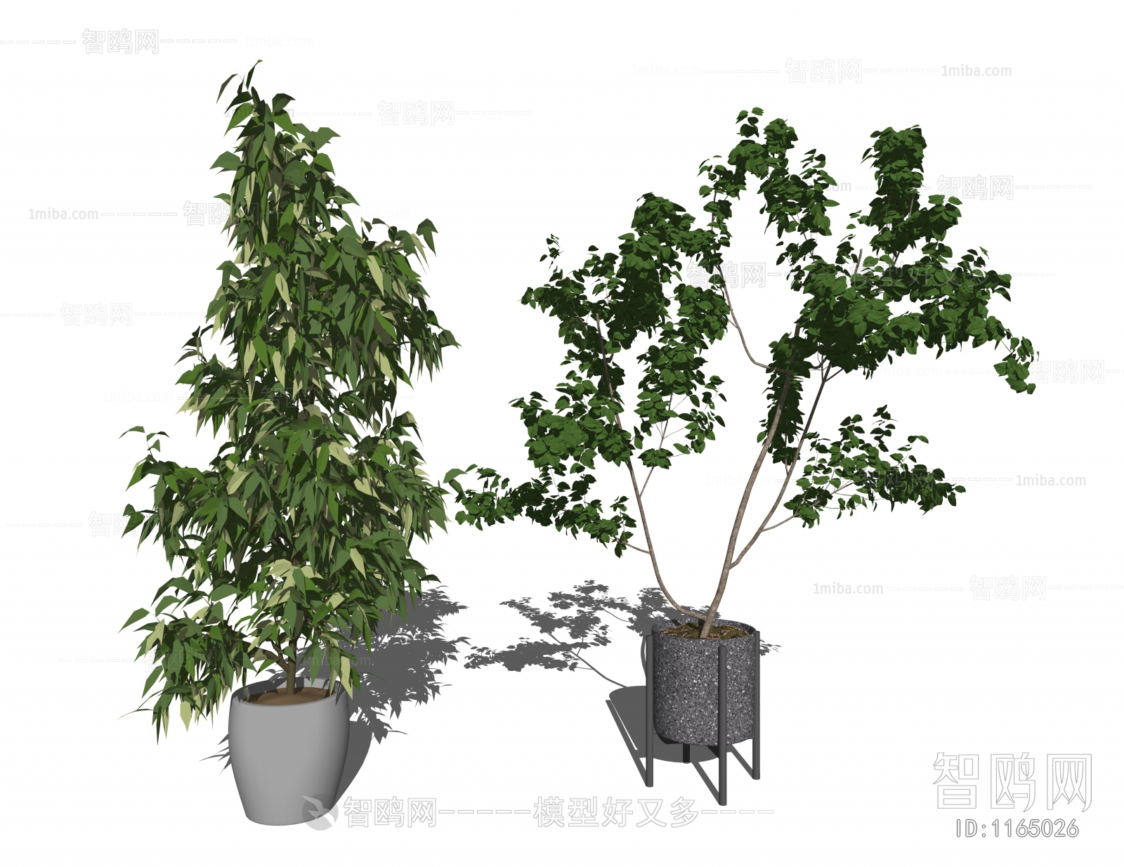 现代落地绿植盆栽