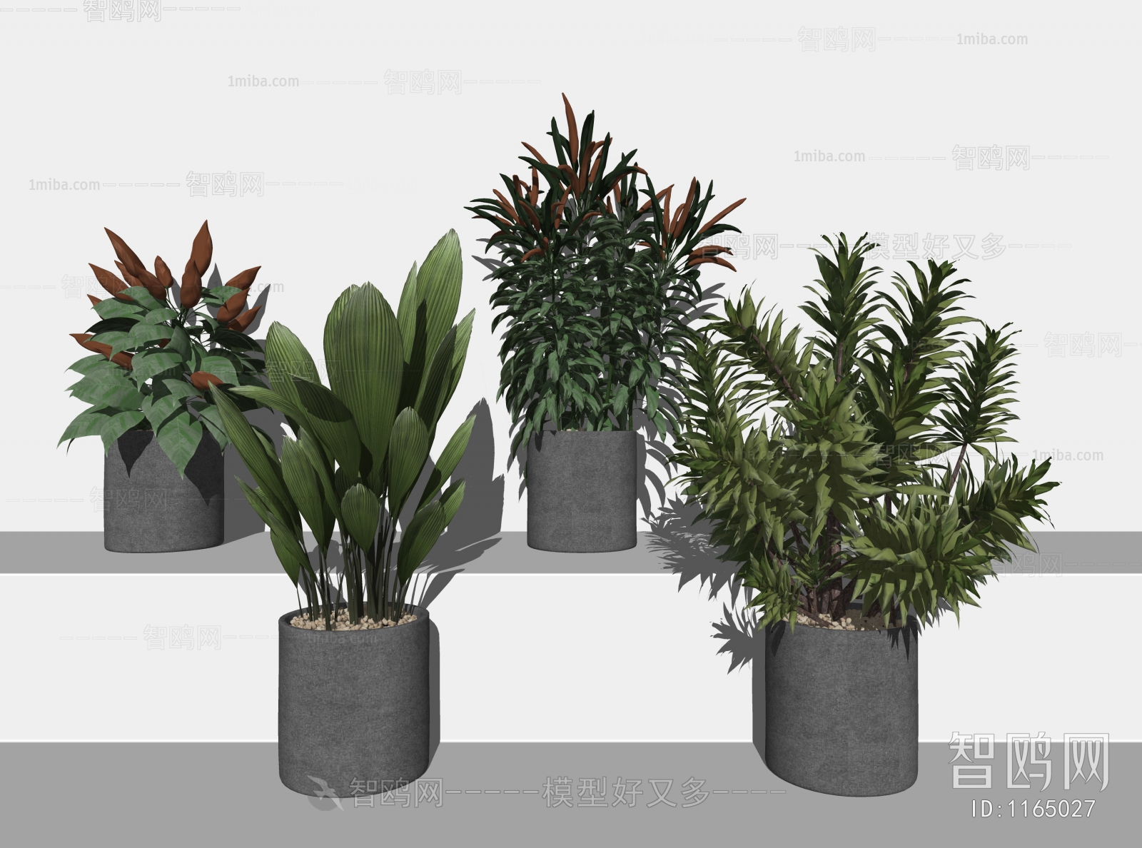 Modern Potted Green Plant