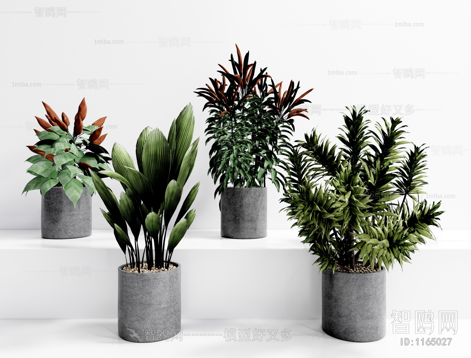 Modern Potted Green Plant