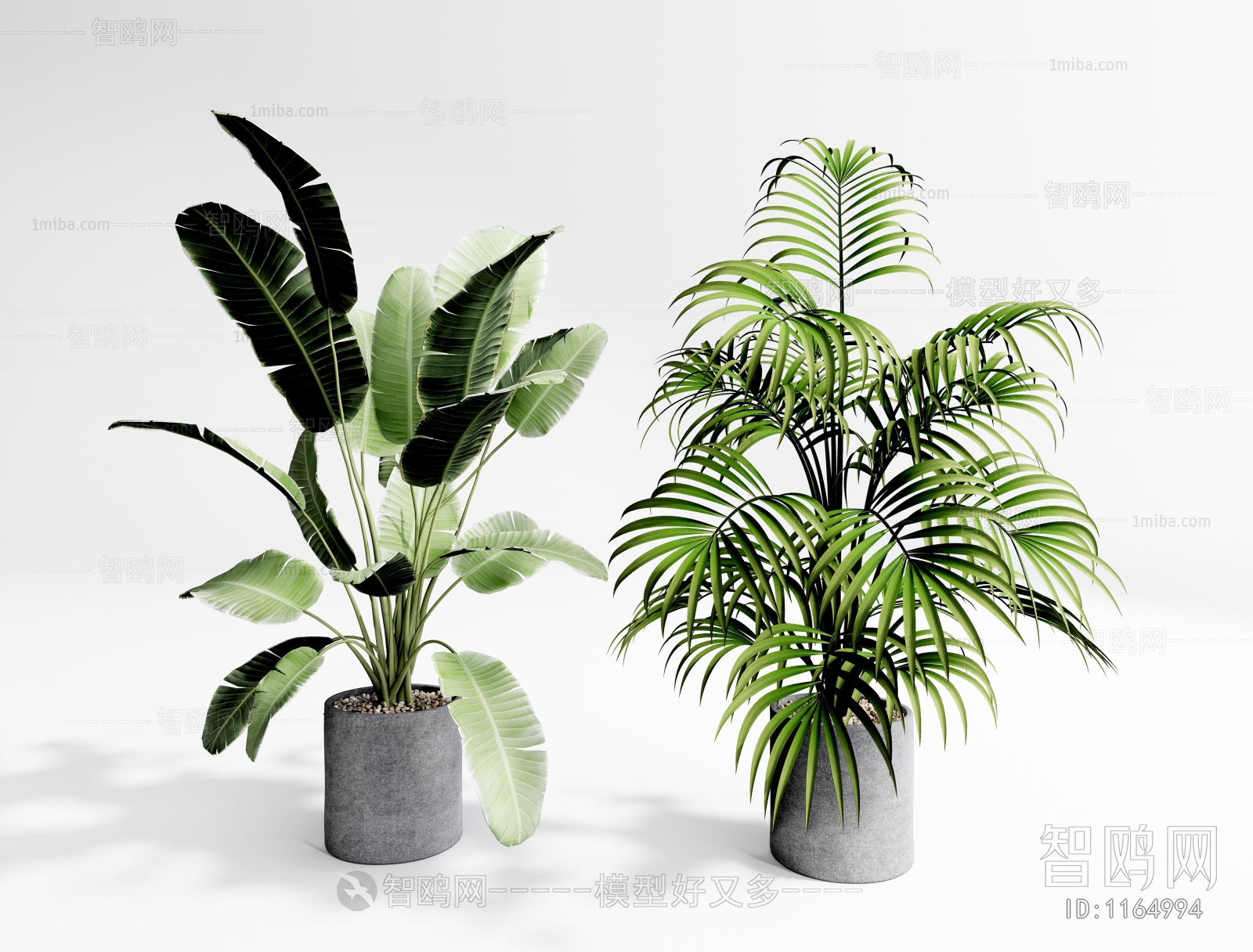 Modern Potted Green Plant