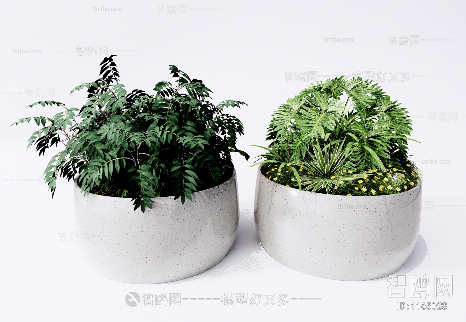 现代绿植盆栽