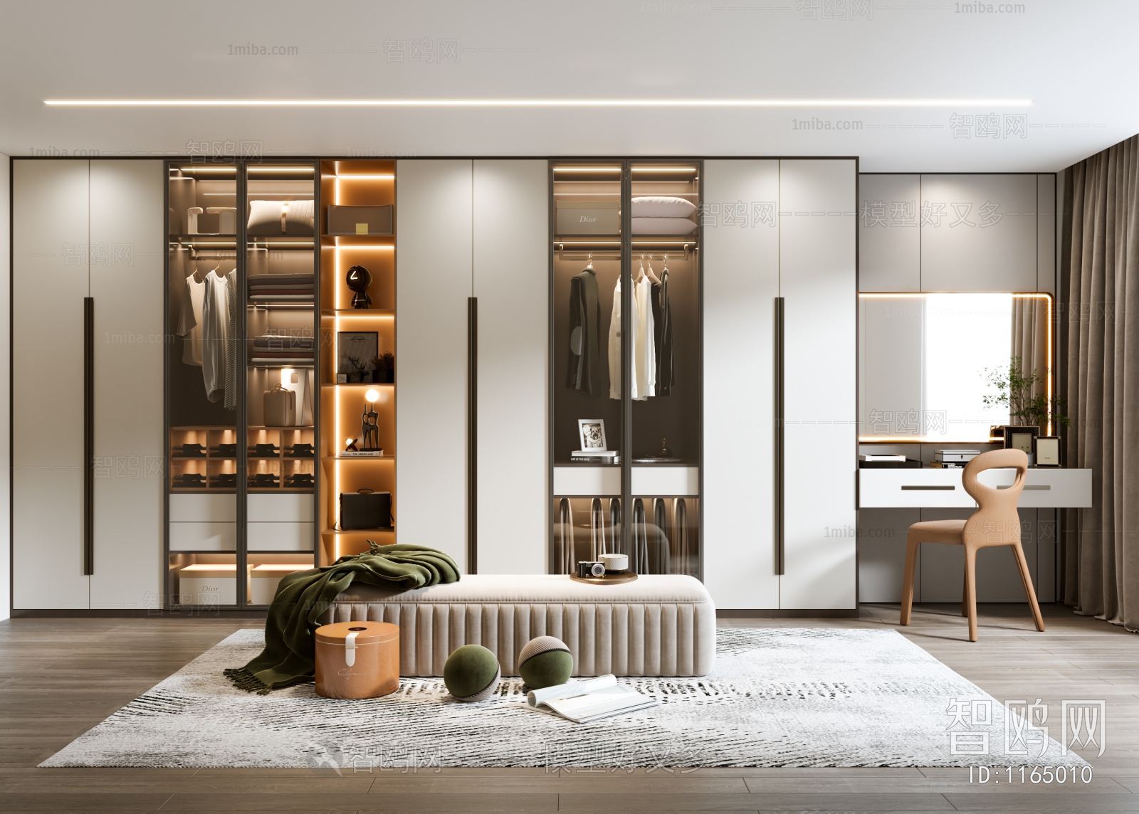 Modern Clothes Storage Area