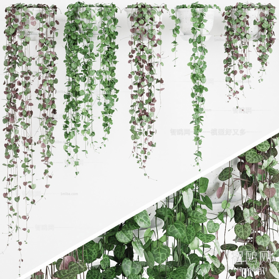 现代植物墙藤蔓
