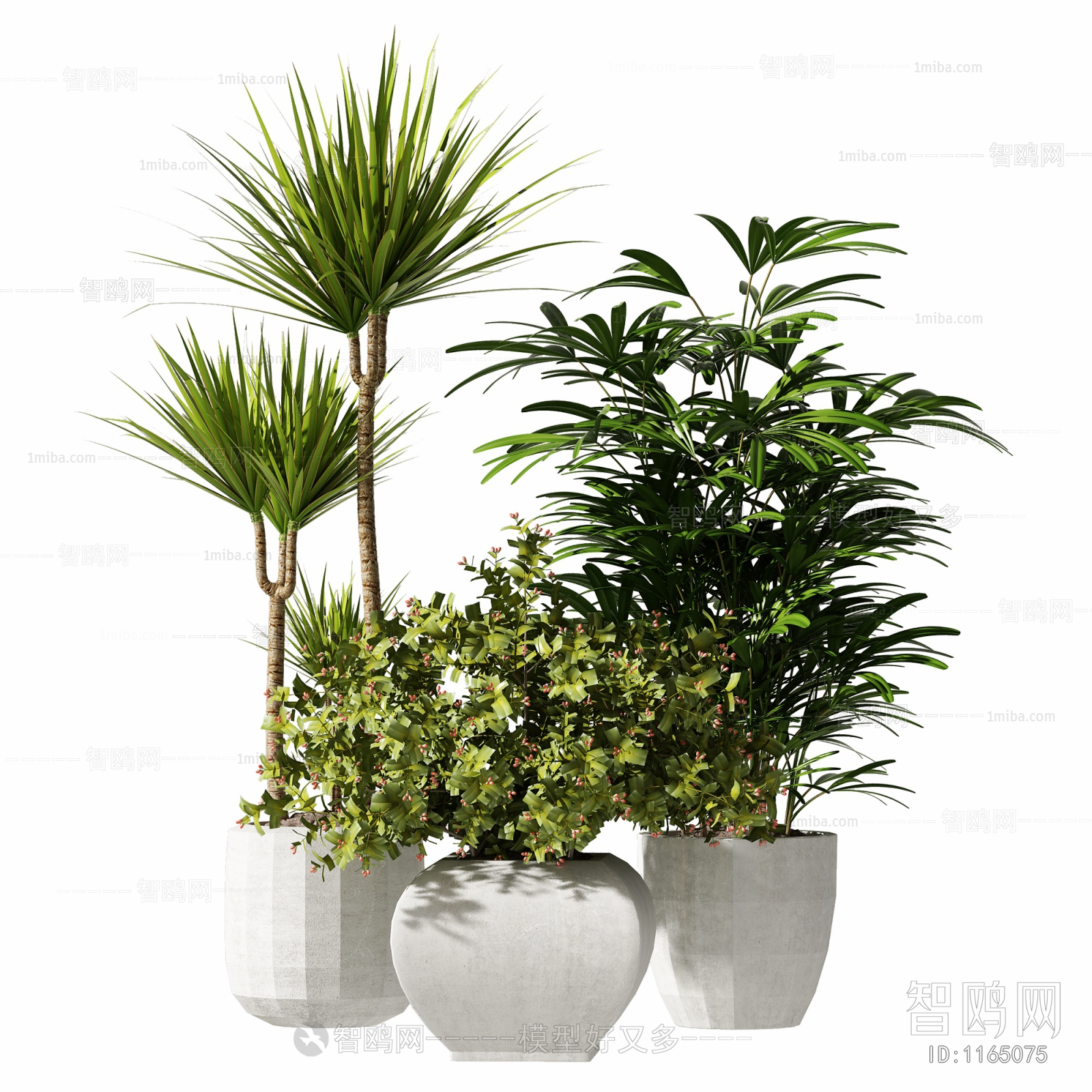 Modern Potted Green Plant