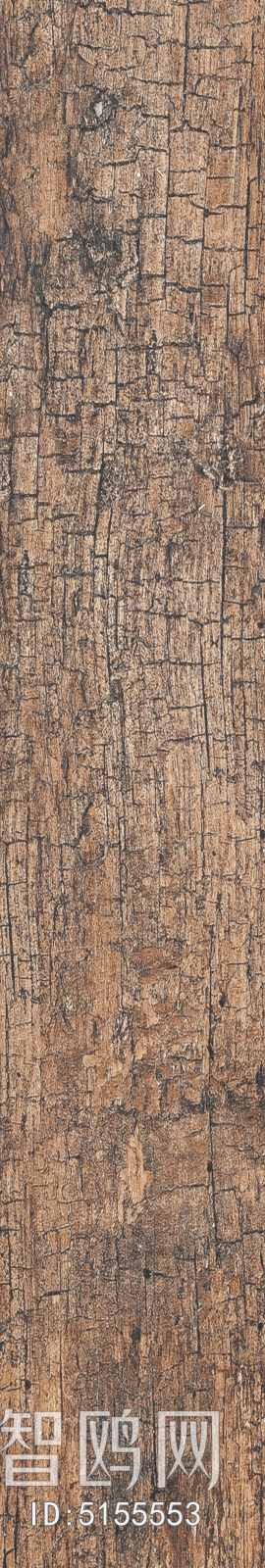 Wood Texture