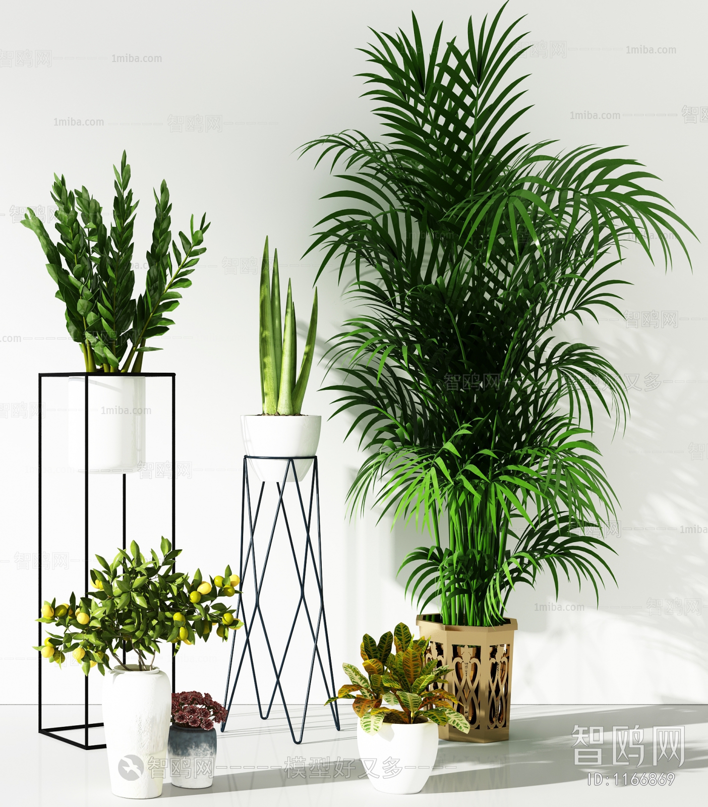 Modern Potted Green Plant