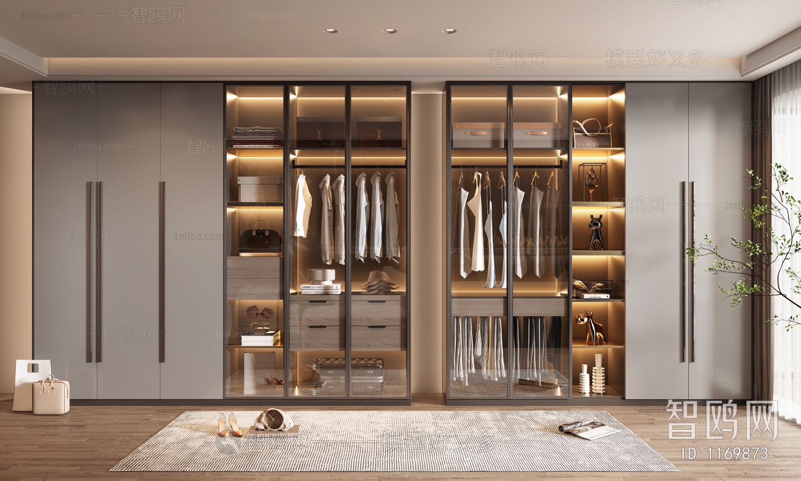 Modern Clothes Storage Area