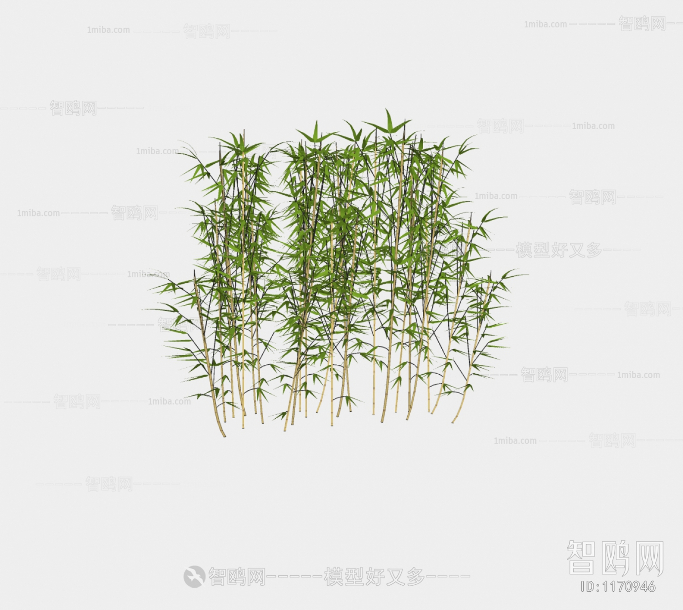 Modern Bamboo