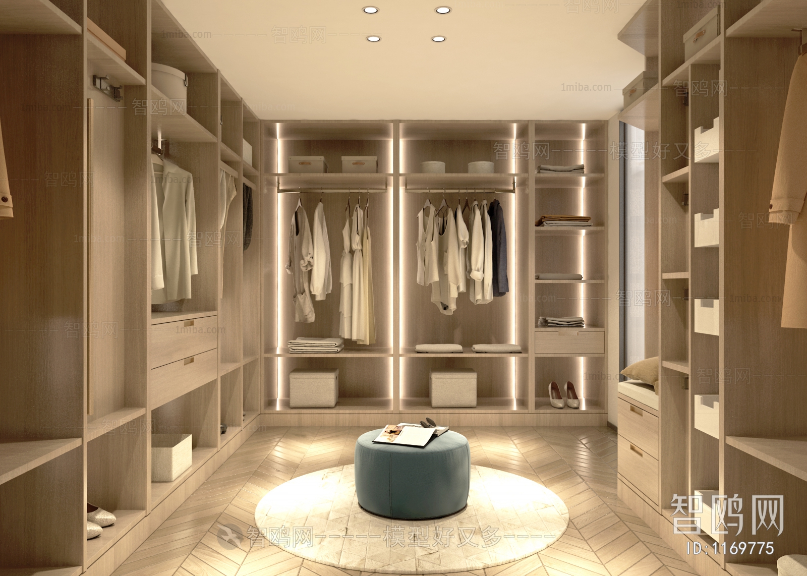 Modern Clothes Storage Area