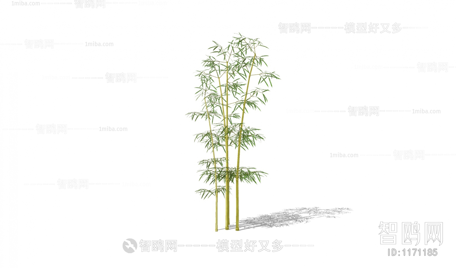 Modern Bamboo