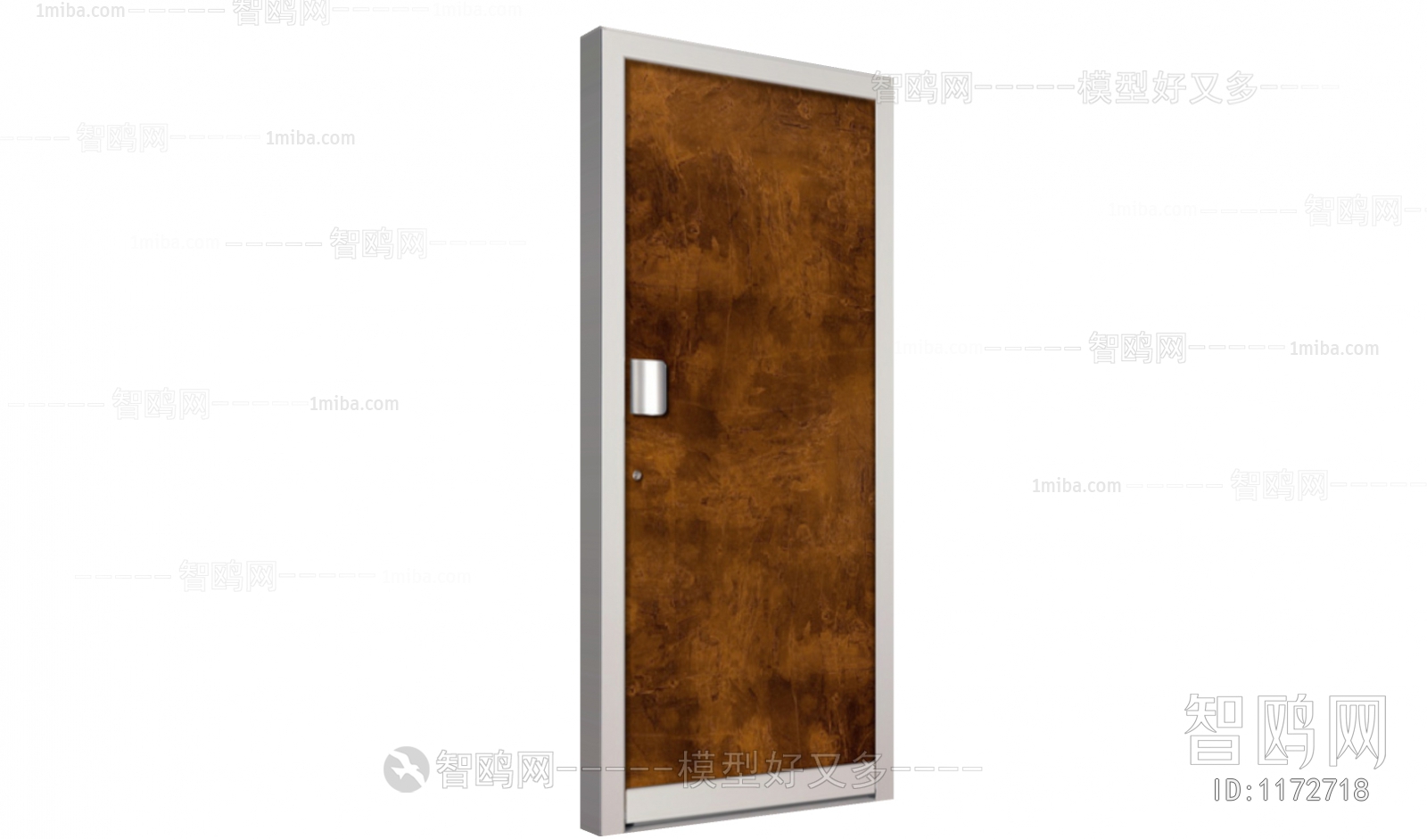 Modern Door