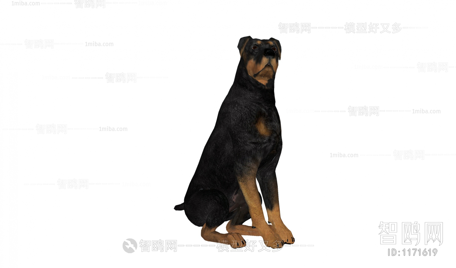 现代杜宾犬