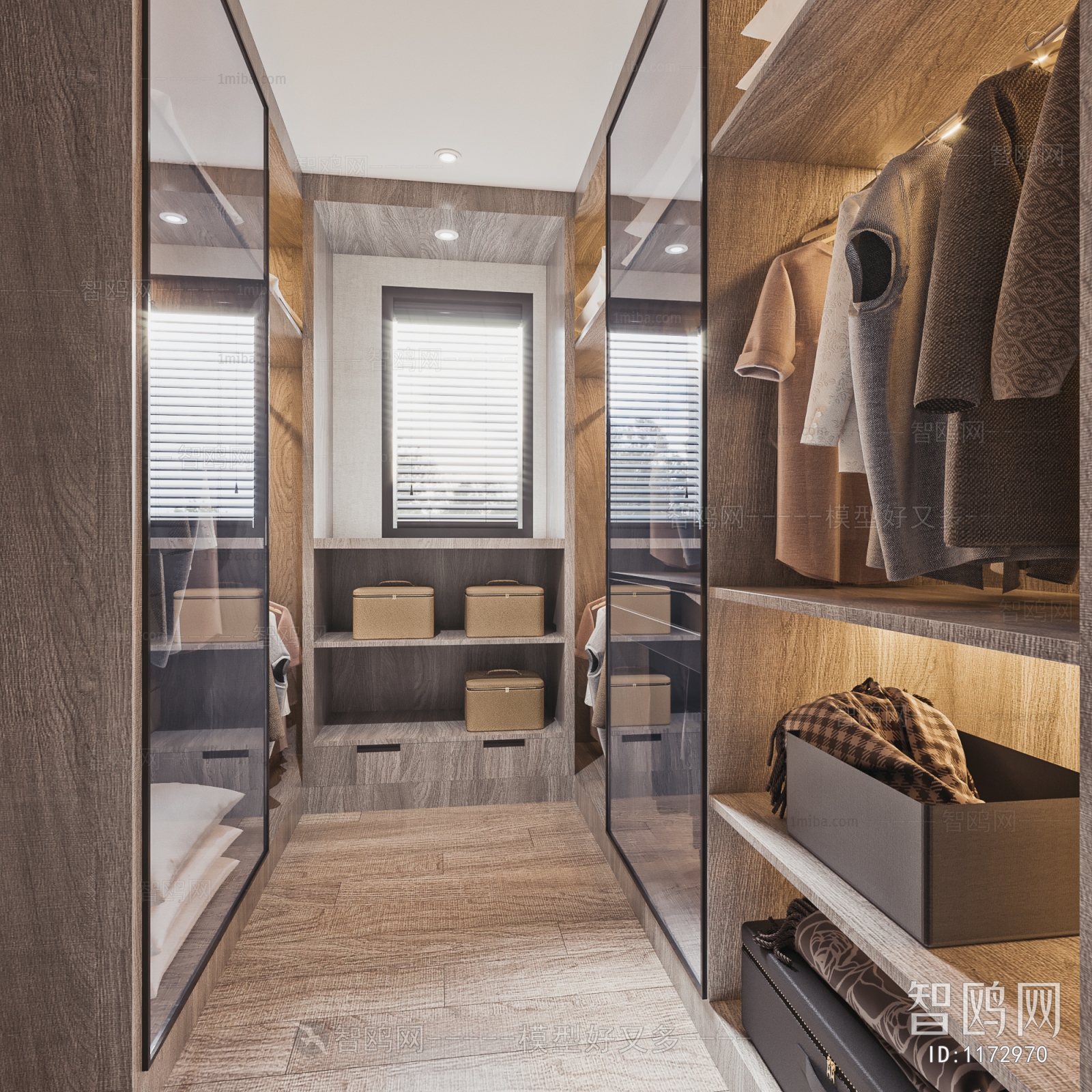 Modern Clothes Storage Area