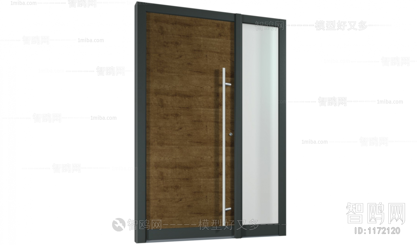 Modern Door