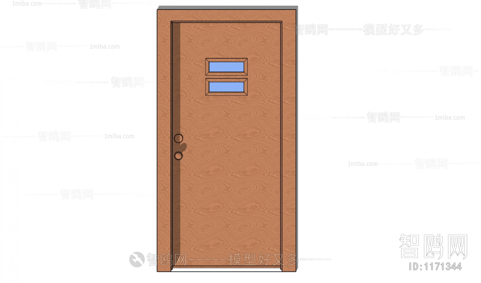 Modern Door