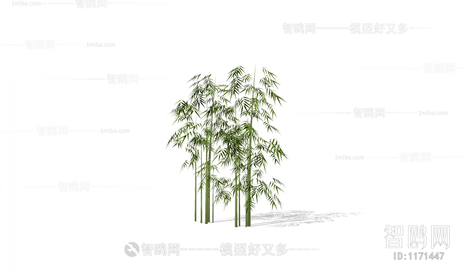 Modern Bamboo