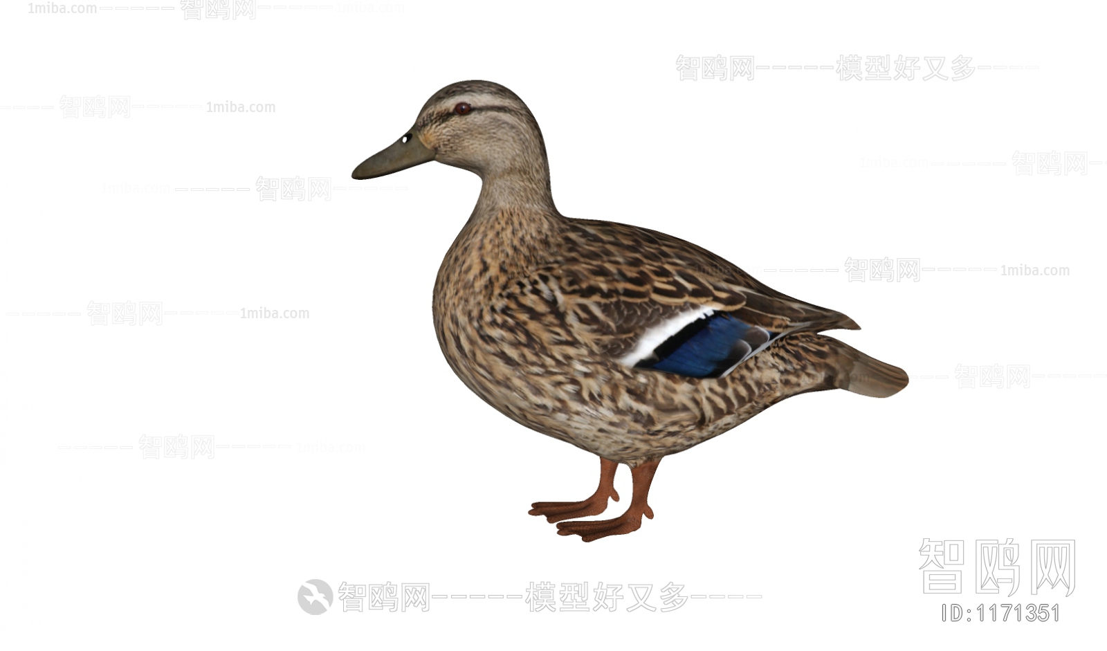Modern Animal Duck