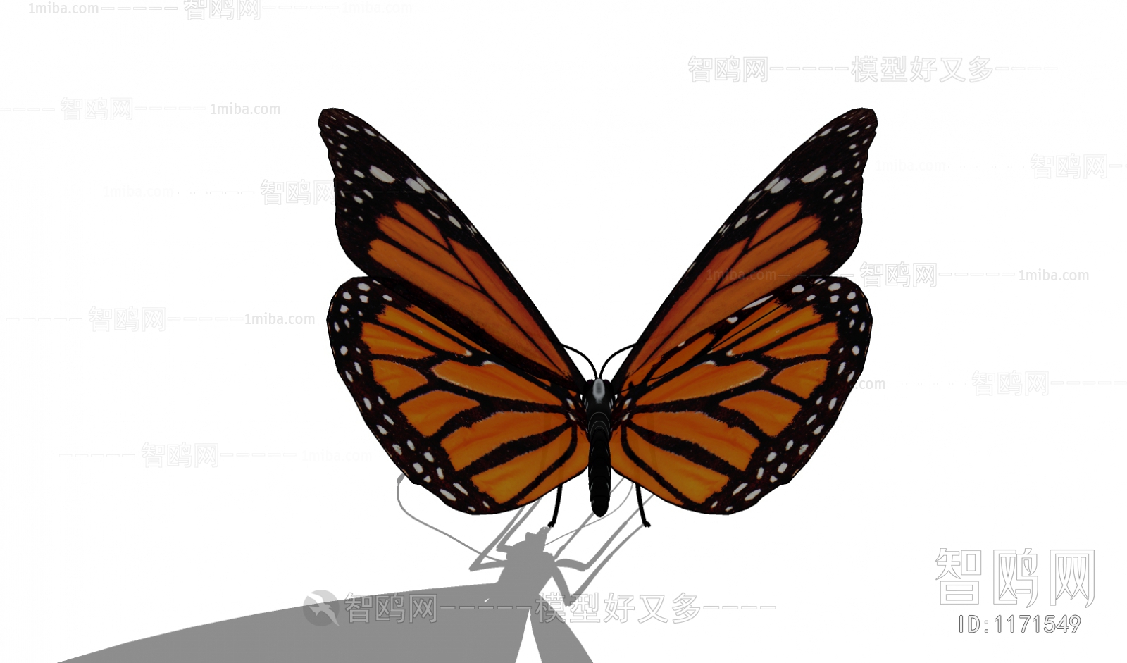 现代蝴蝶