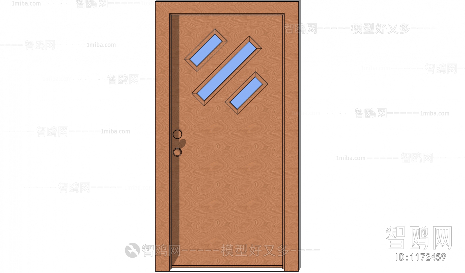 Modern Door