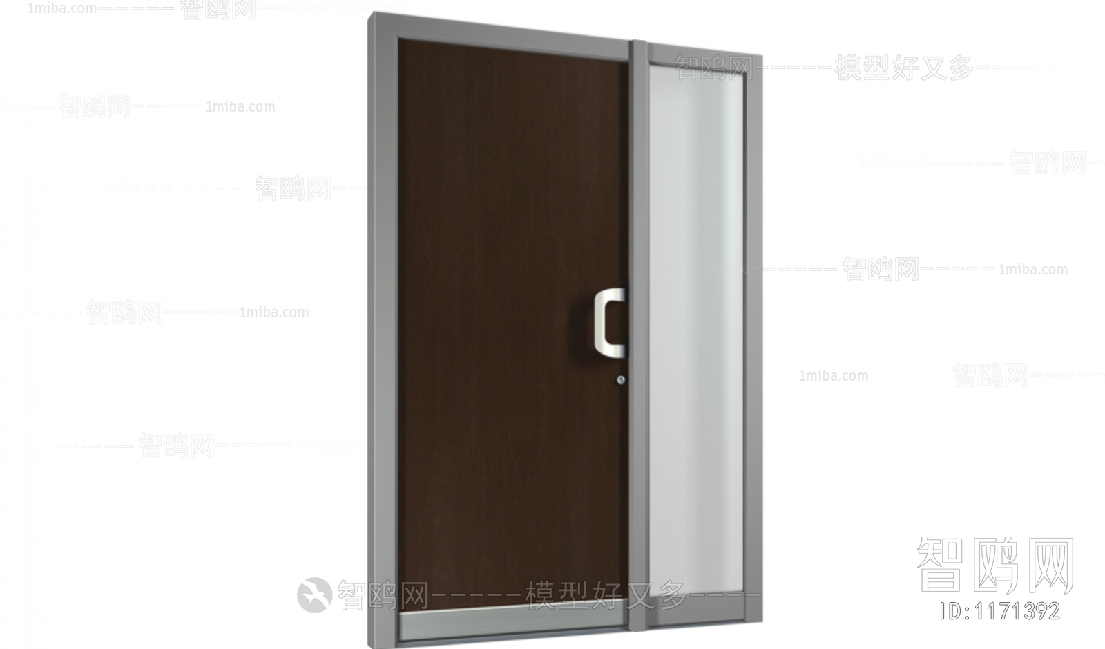 Modern Door