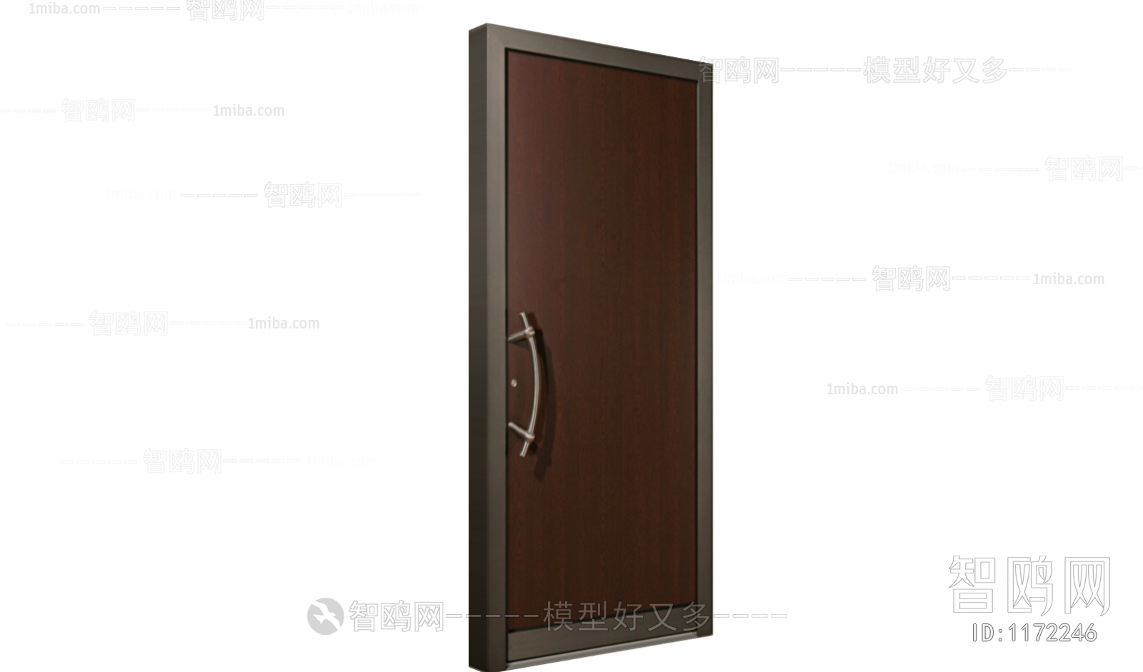 Modern Door