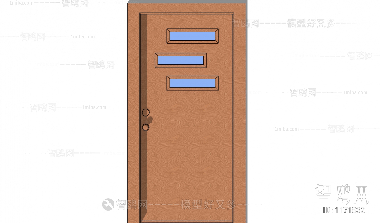 Modern Door