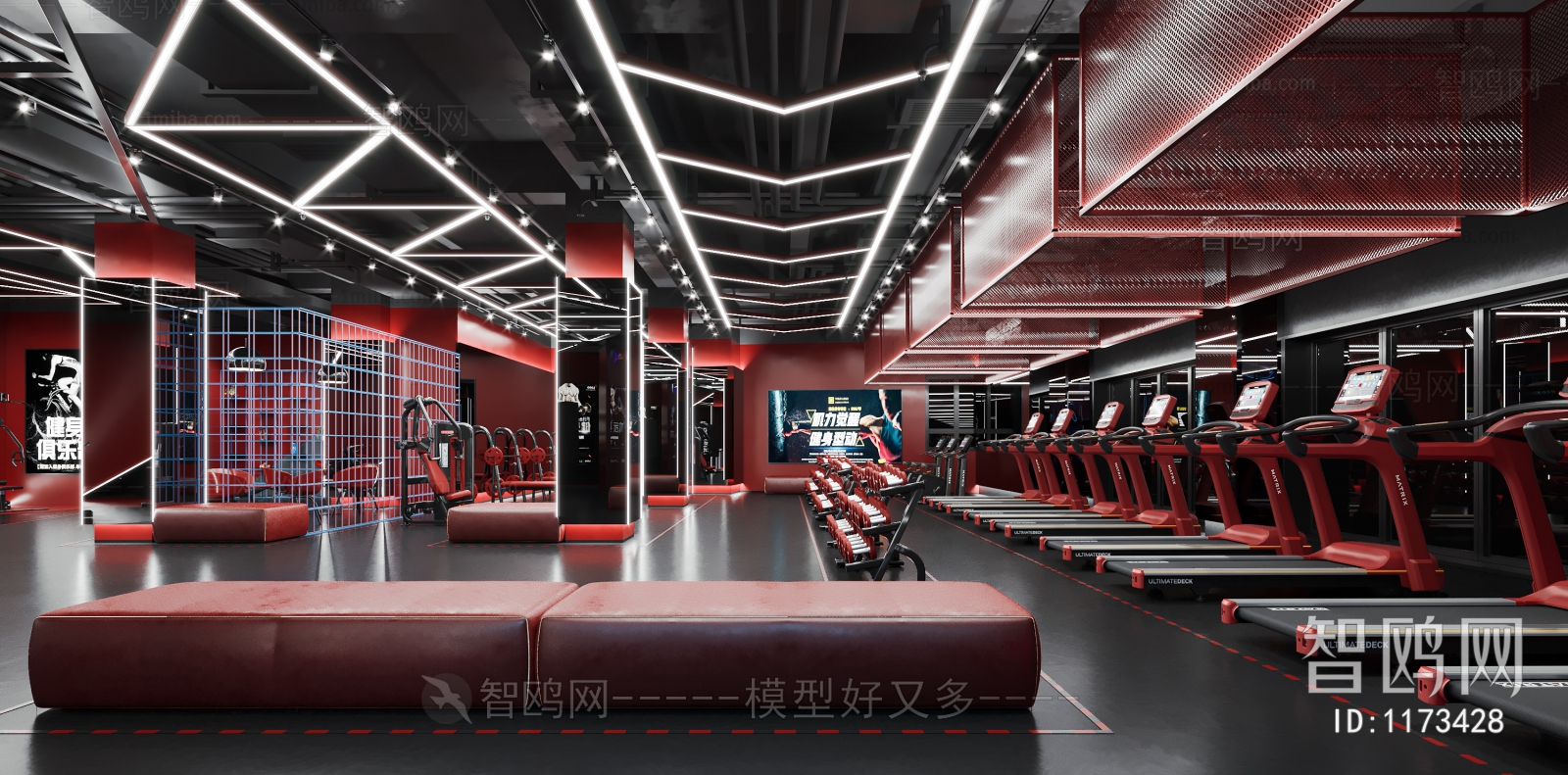 Modern Gym