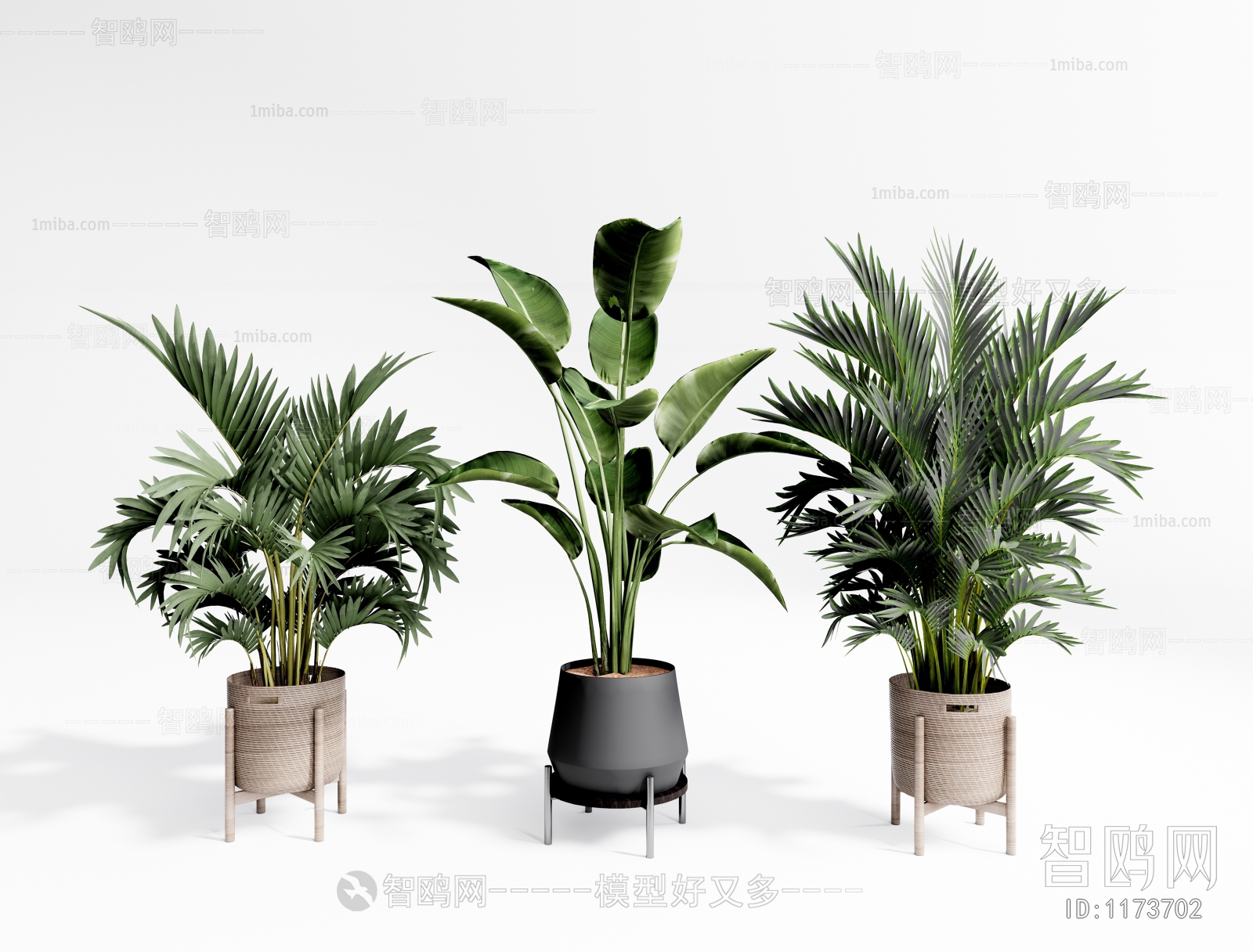 现代芭蕉叶植物绿植盆栽