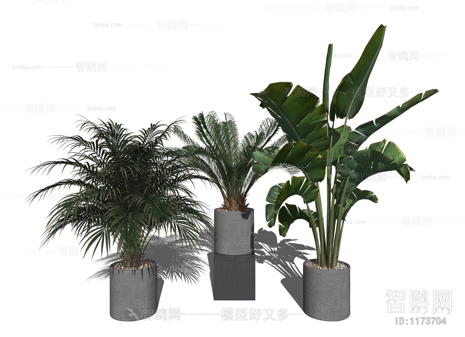 Modern Potted Green Plant