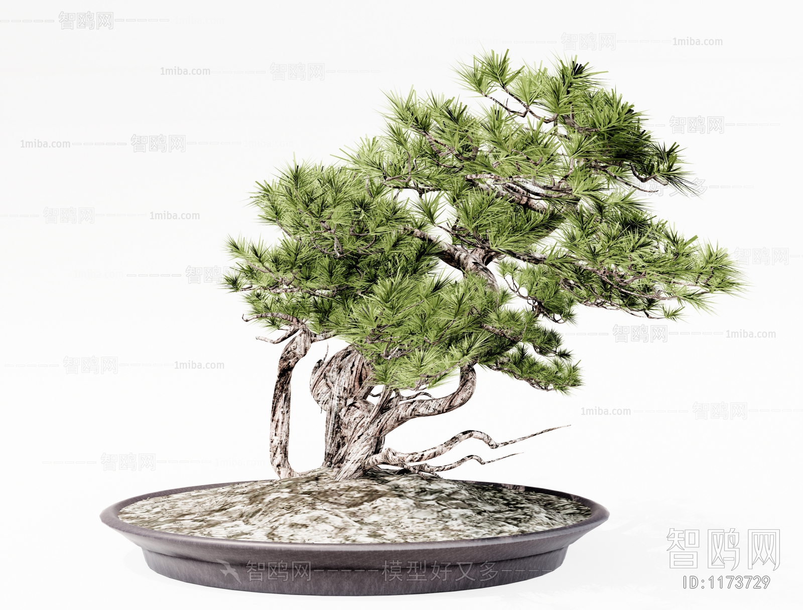 New Chinese Style Bonsai