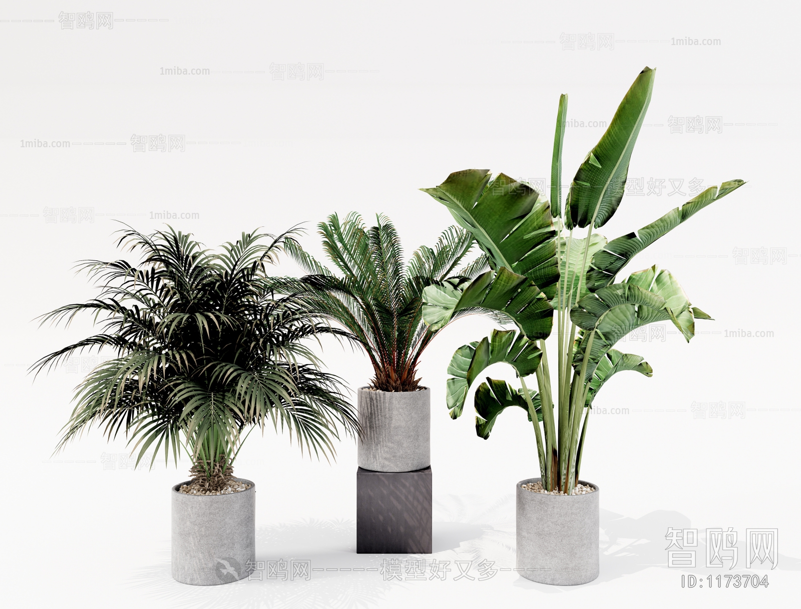 Modern Potted Green Plant