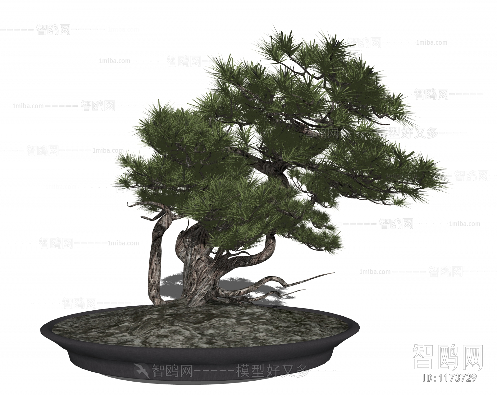 New Chinese Style Bonsai