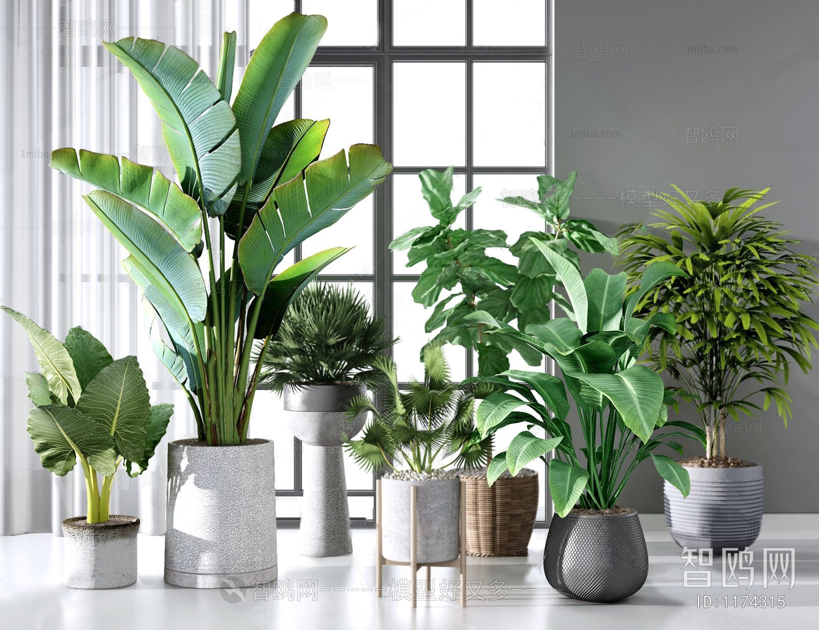 Modern Potted Green Plant