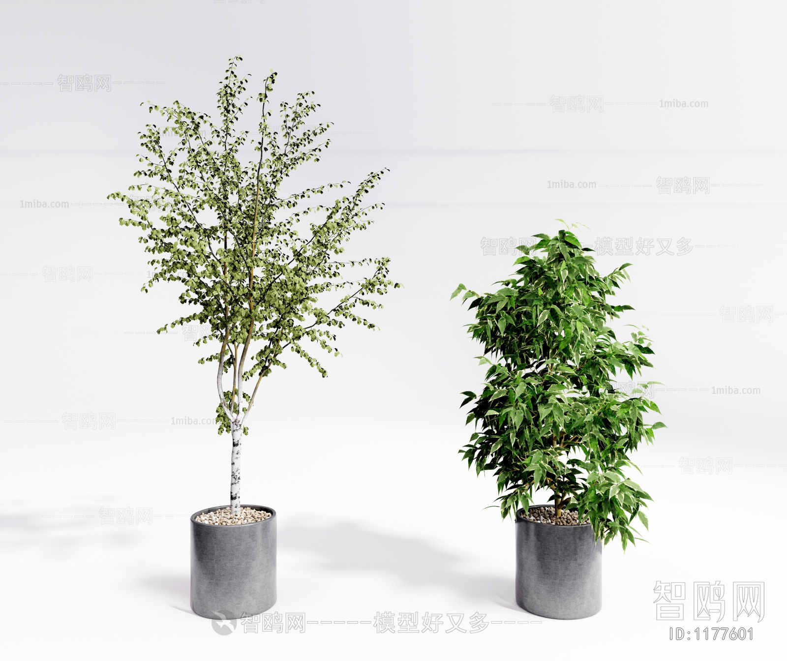 现代落地绿植盆栽