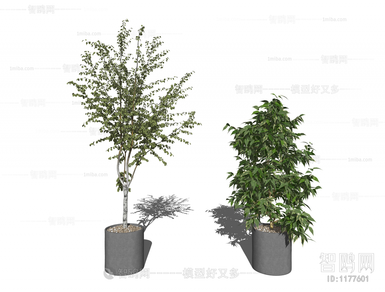 现代落地绿植盆栽