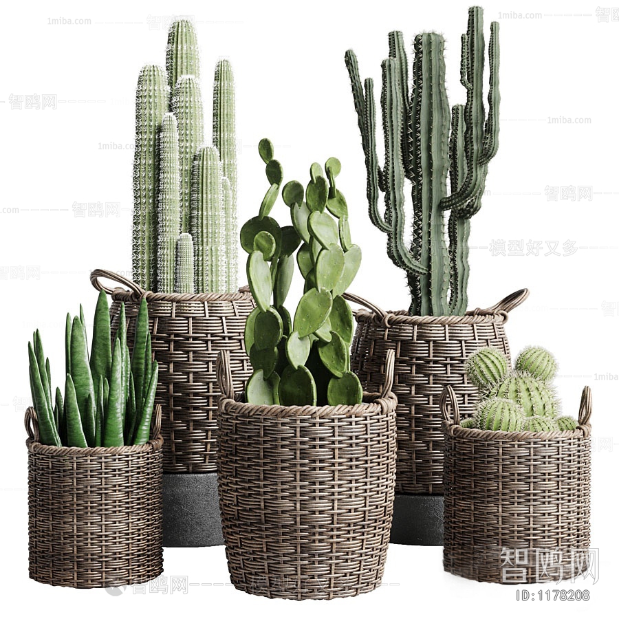 Modern Potted Green Plant