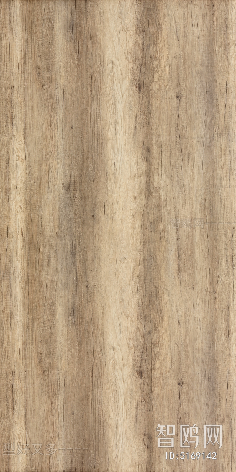 Wood Texture