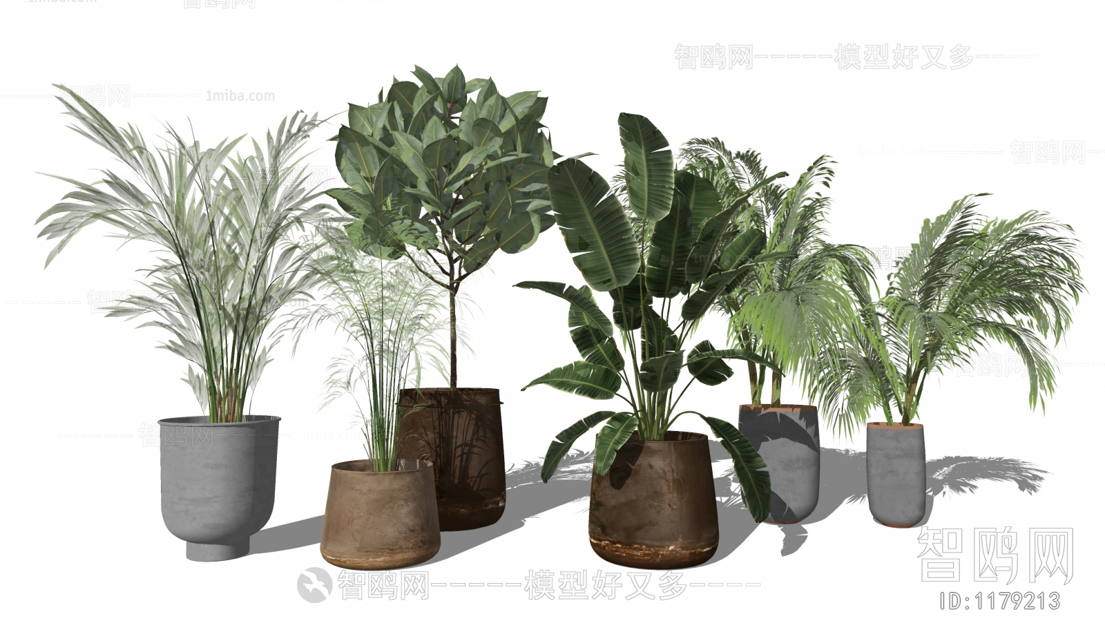 Modern Potted Green Plant