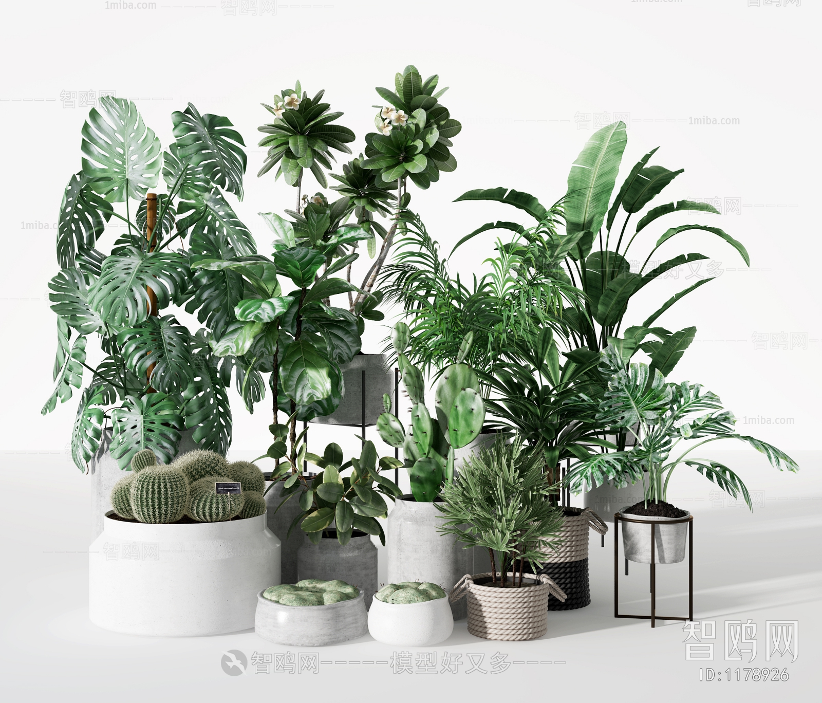 Modern Potted Green Plant