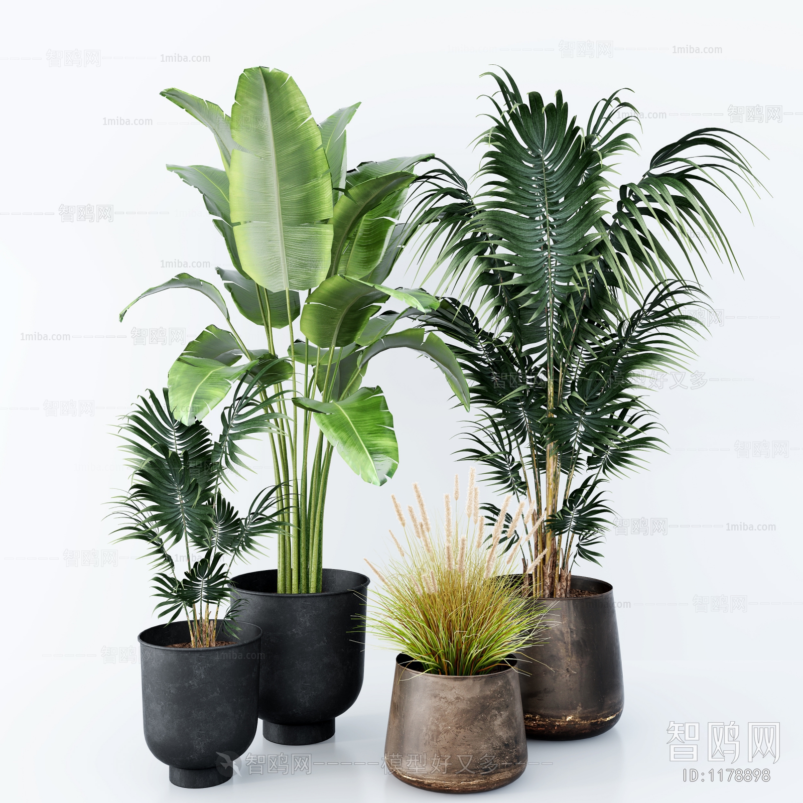 Modern Potted Green Plant