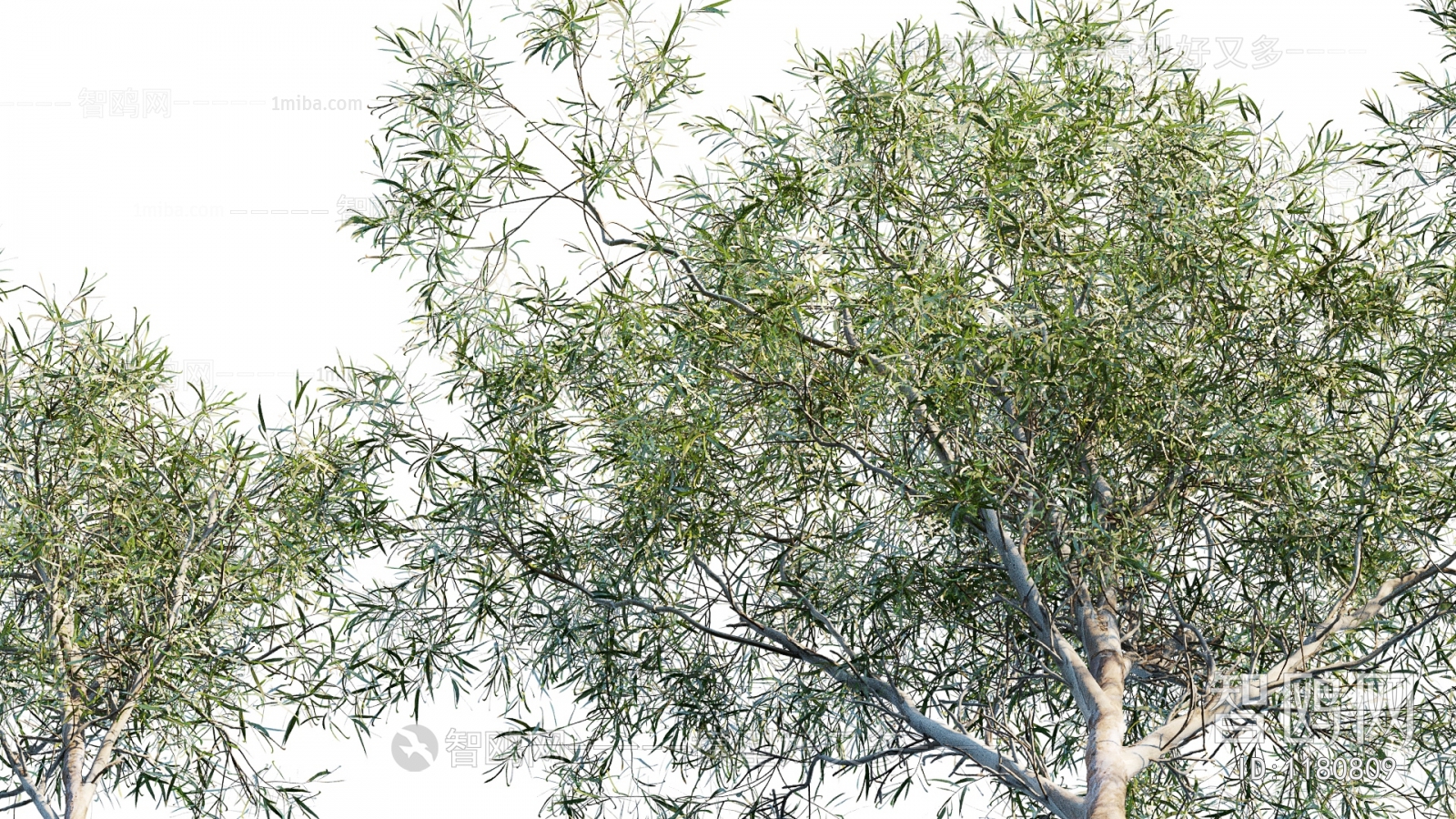 Modern Tree