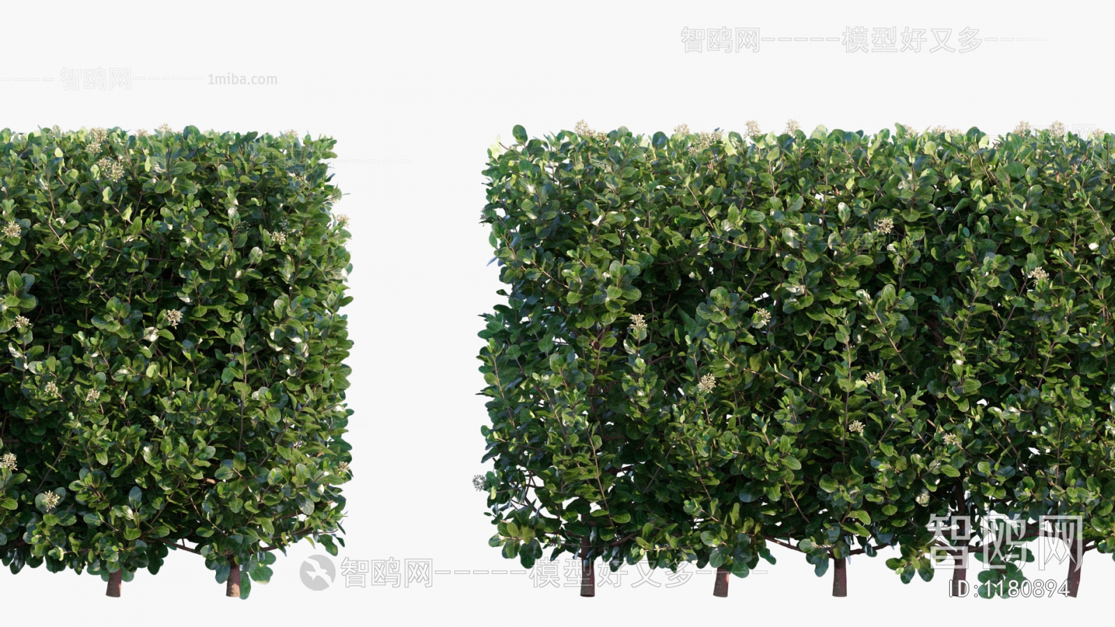 Modern Shrubbery