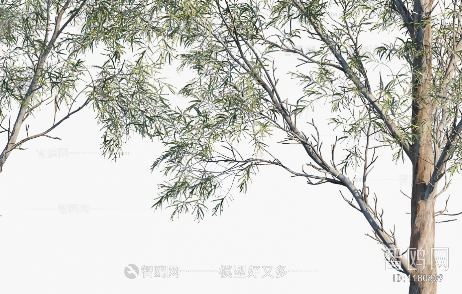Modern Tree