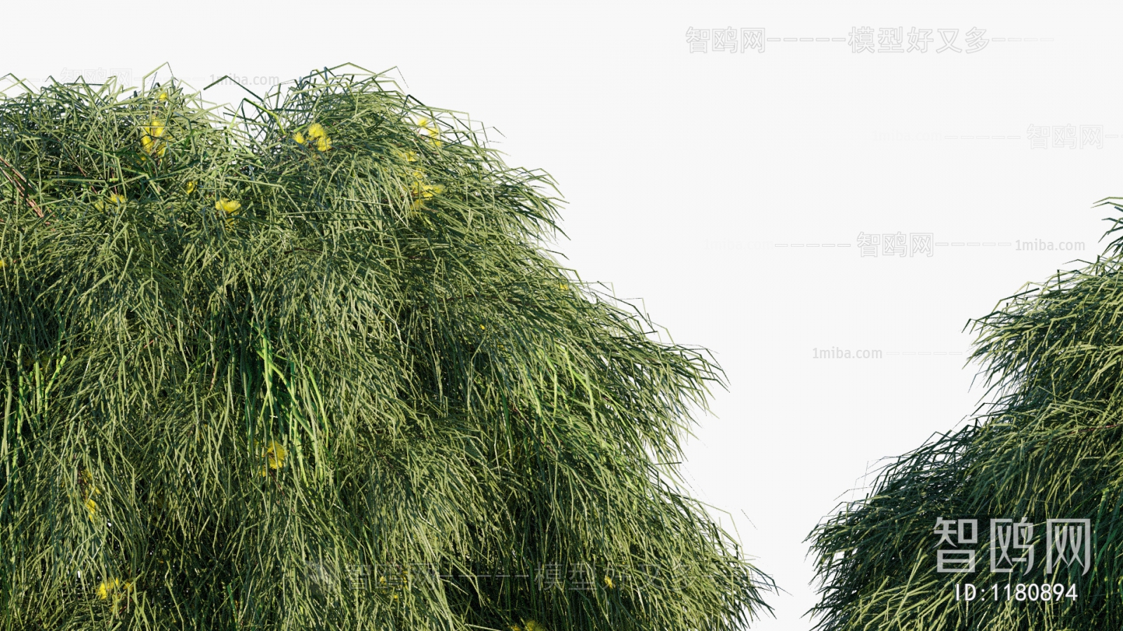 Modern Shrubbery