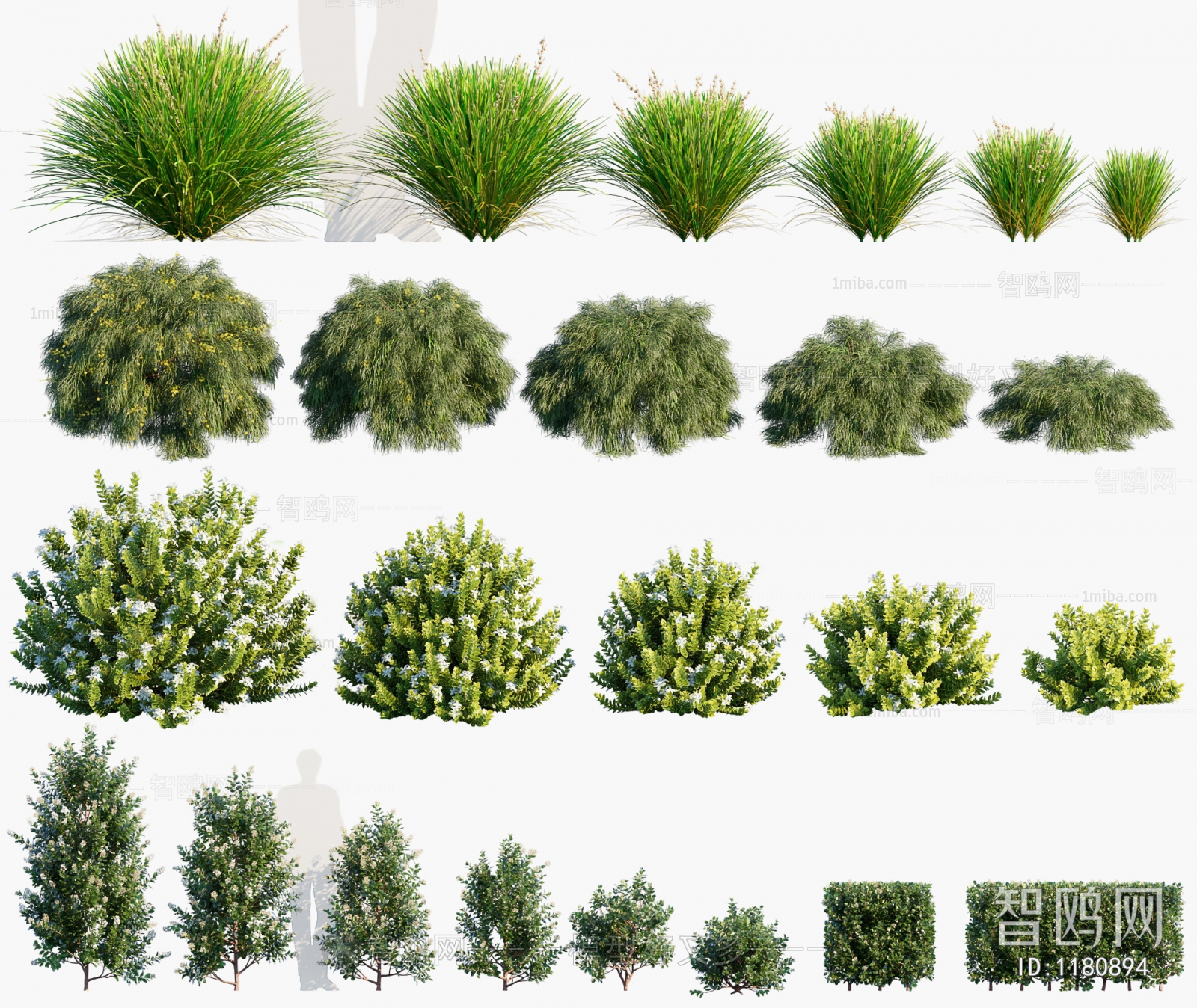Modern Shrubbery