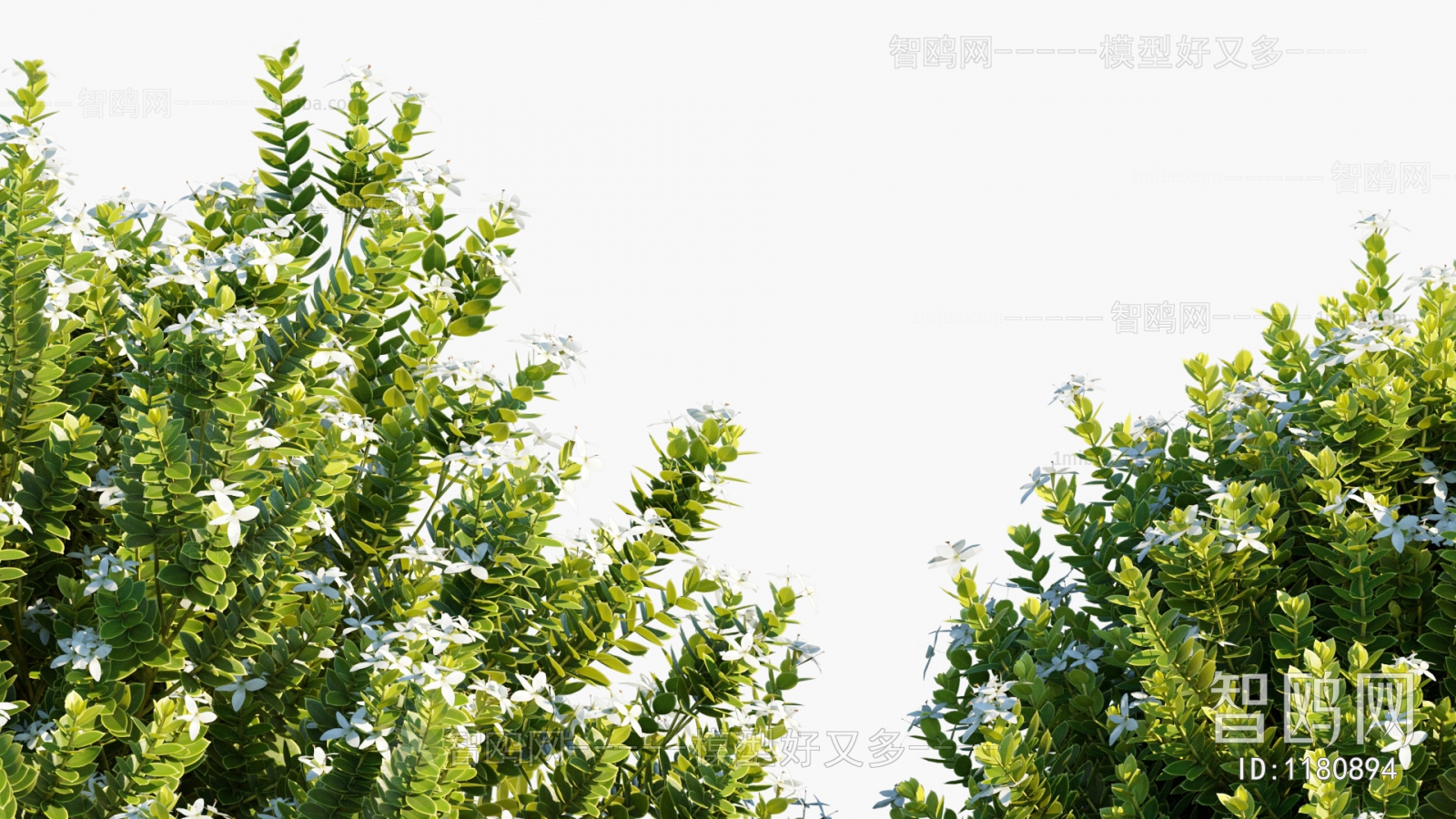 Modern Shrubbery